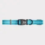 GF Pet Reflective Collar