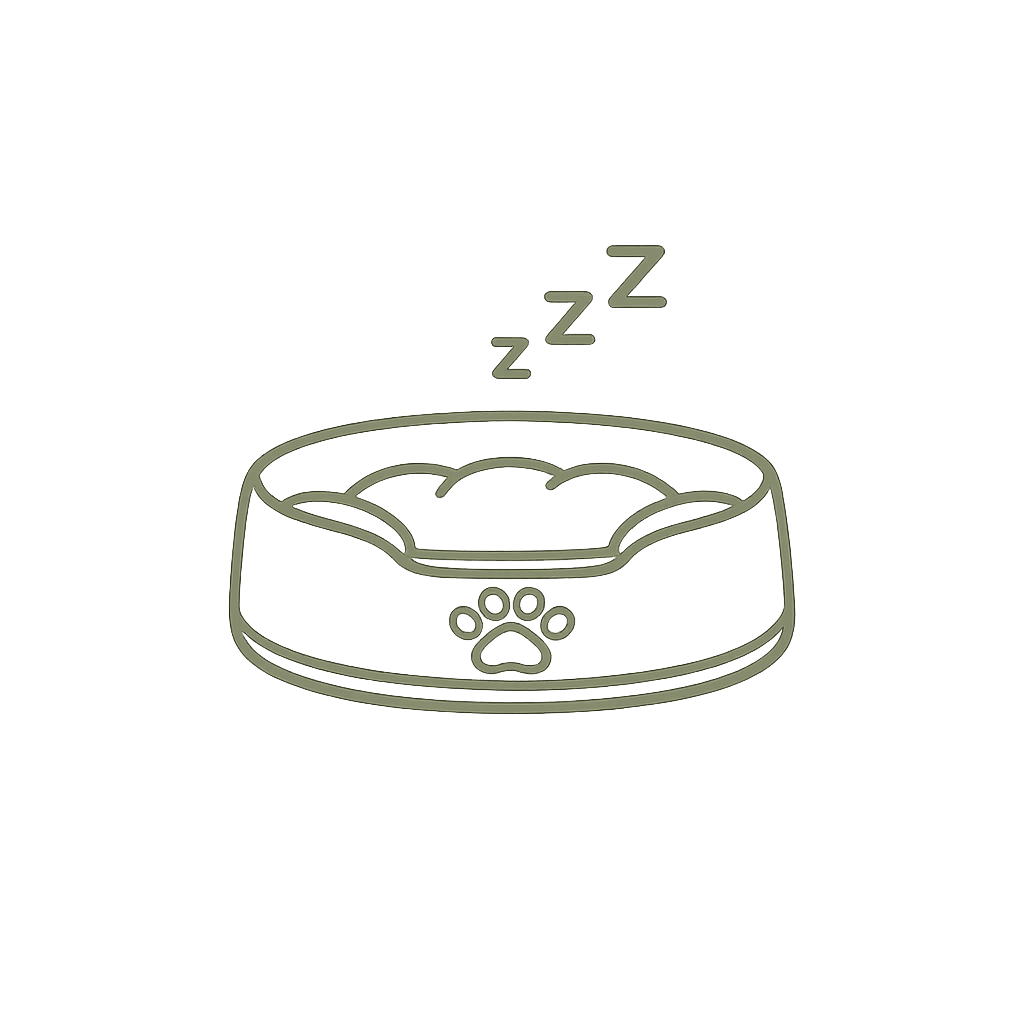 Sleep