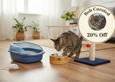 Bob's Curated Cat Starter Kit